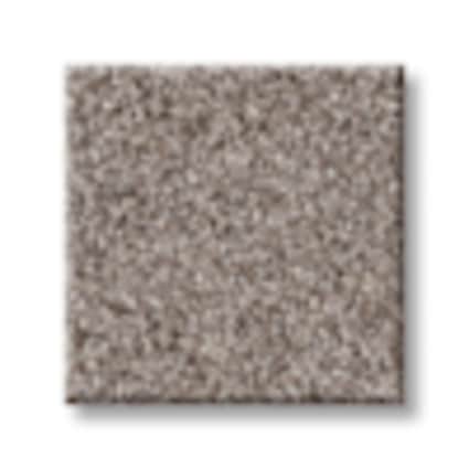 Shaw Munsey Park Mink Texture Carpet with Pet Perfect-Sample